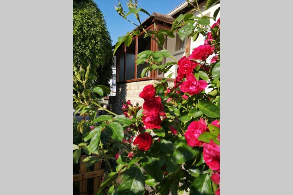 La Roseliere Maison Plain Pied Confortable Belle Decoration Jardin Magnifique 10 Mn A Pied Centre Ville Bayeux Proche Plages Du Debarquement Buitenkant foto