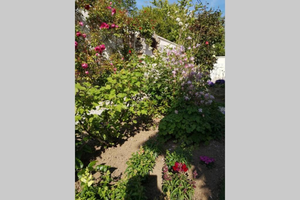 La Roseliere Maison Plain Pied Confortable Belle Decoration Jardin Magnifique 10 Mn A Pied Centre Ville Bayeux Proche Plages Du Debarquement Buitenkant foto