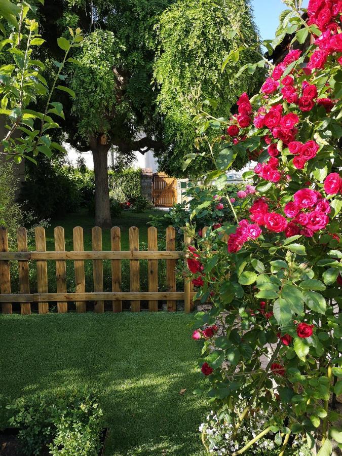 La Roseliere Maison Plain Pied Confortable Belle Decoration Jardin Magnifique 10 Mn A Pied Centre Ville Bayeux Proche Plages Du Debarquement Buitenkant foto